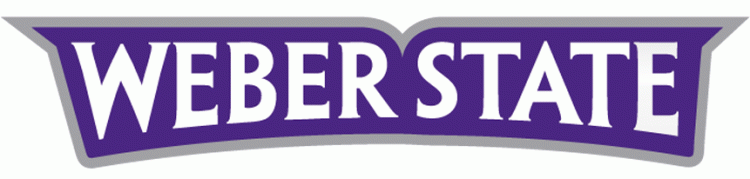 Weber State Wildcats 2012-Pres Wordmark Logo diy iron on heat transfer